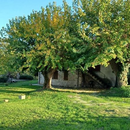 Agriturismo Canonici Amelia Exterior photo
