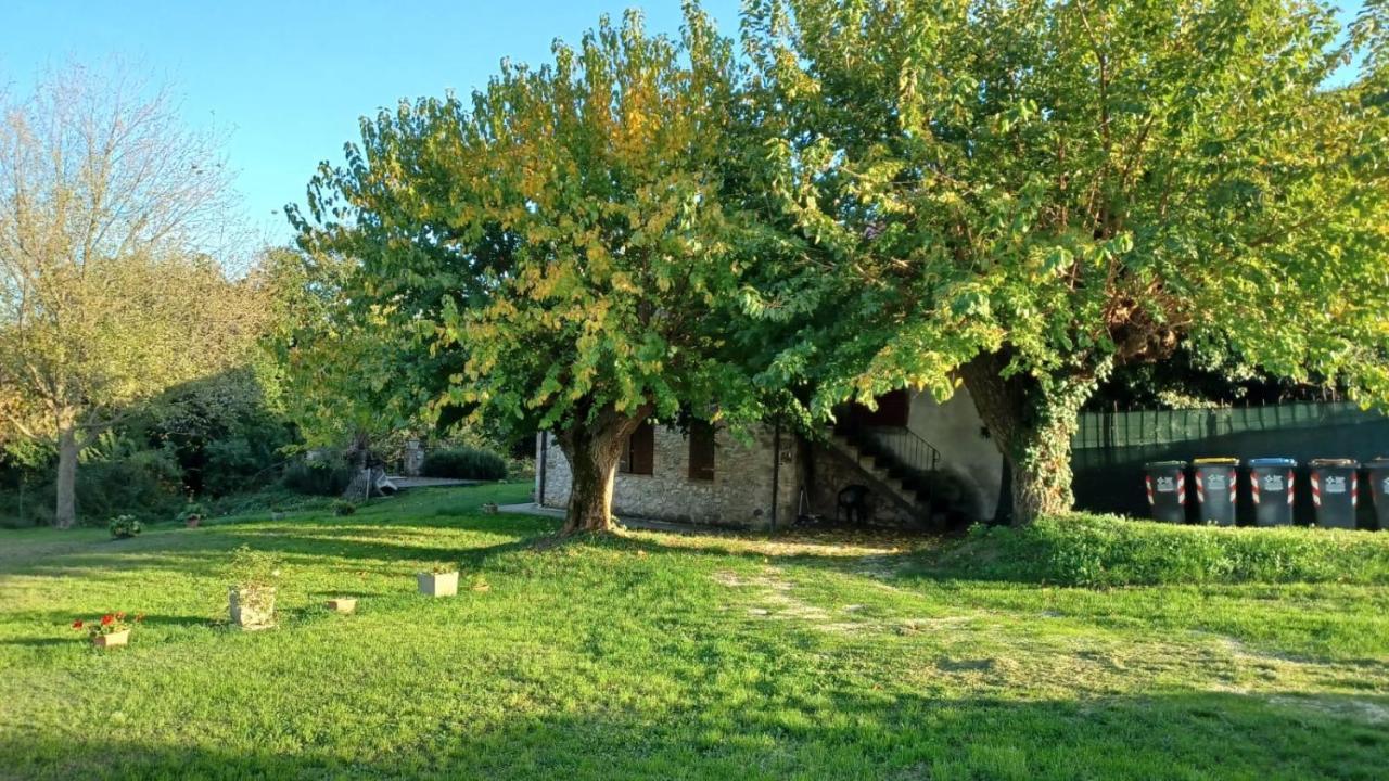 Agriturismo Canonici Amelia Exterior photo